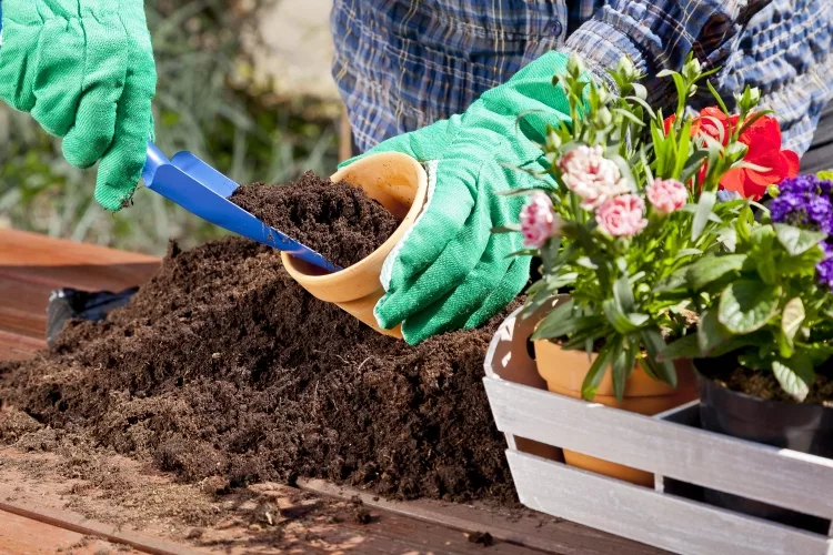 Does Potting Soil Go Bad