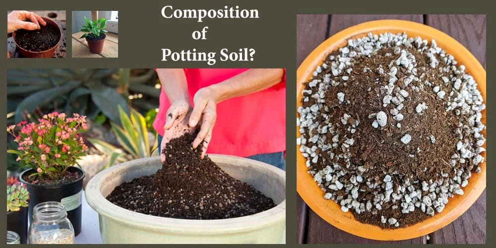 Composition Of Potting Soil