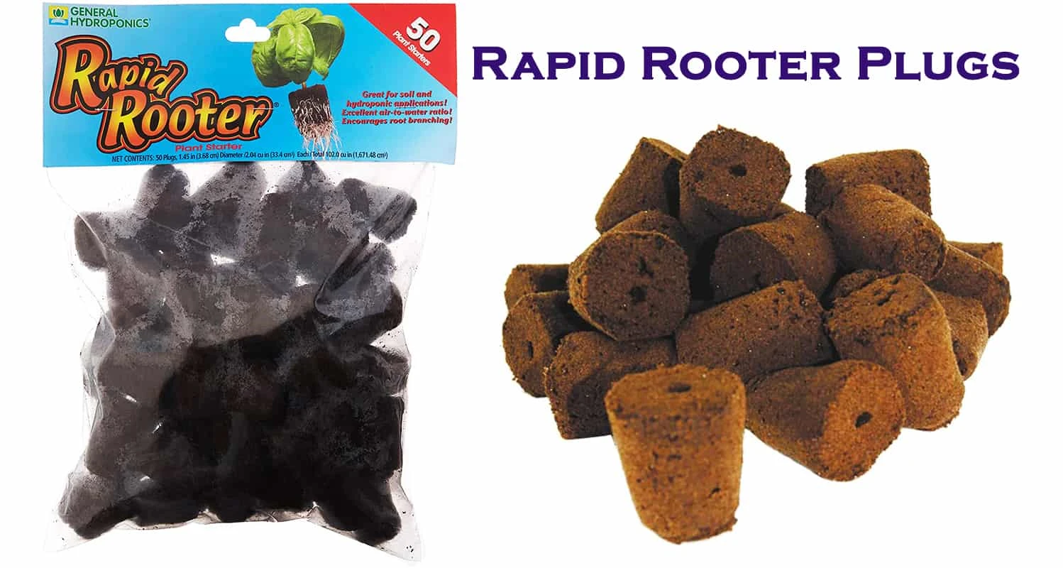 Rapid Rooter Plugs Review