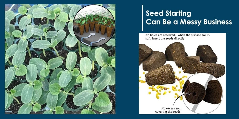 Seed Starting Helps In Messy Business