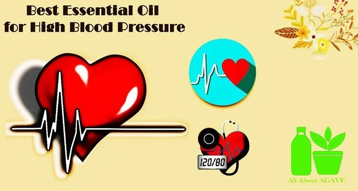 Best Essential Oil For High Blood Pressure