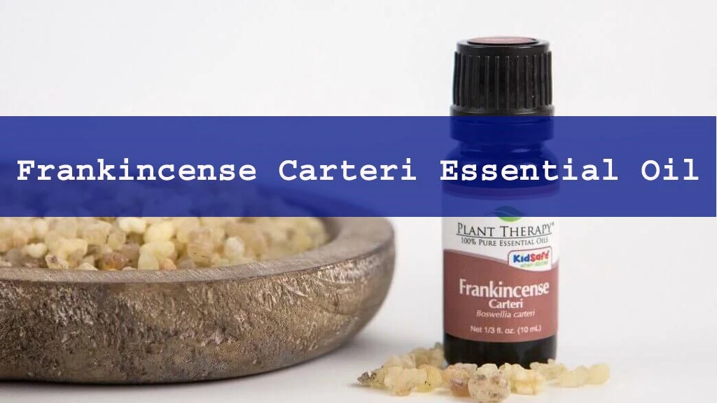 Frankincense Carteri Essential Oil Review