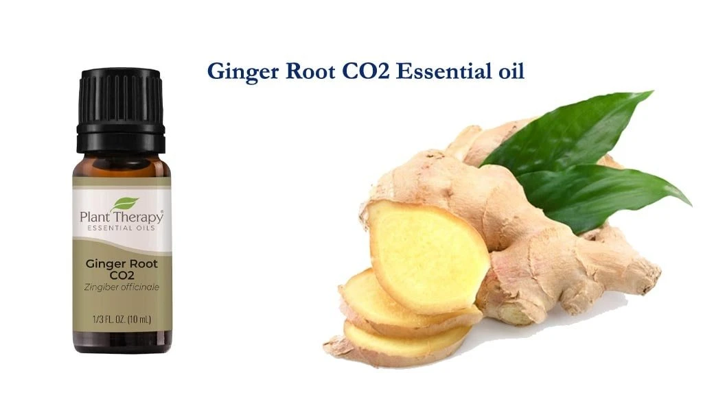 Ginger Root CO2 Essential oil Review