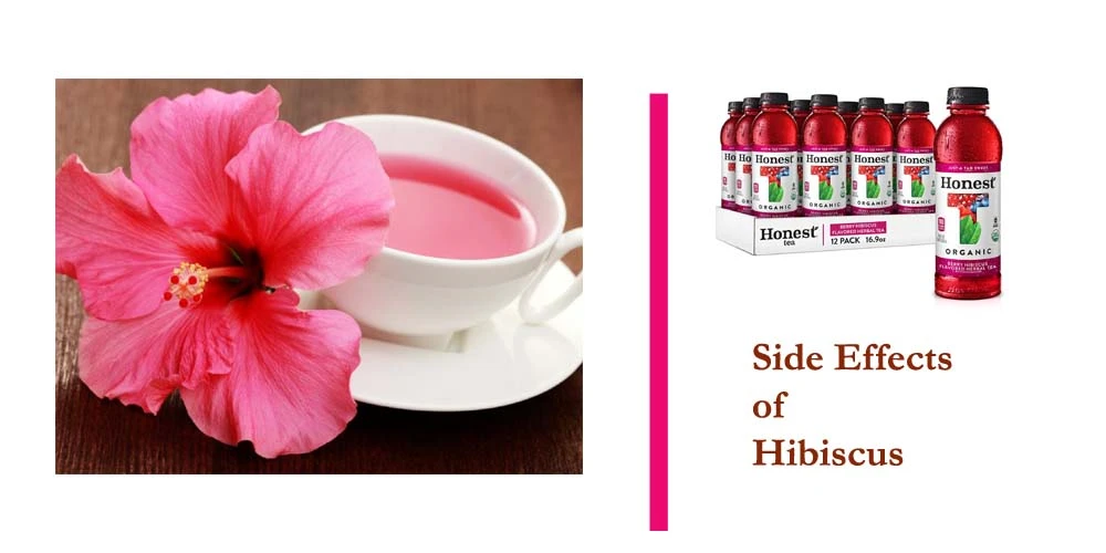 Side Effects Of Hibiscus