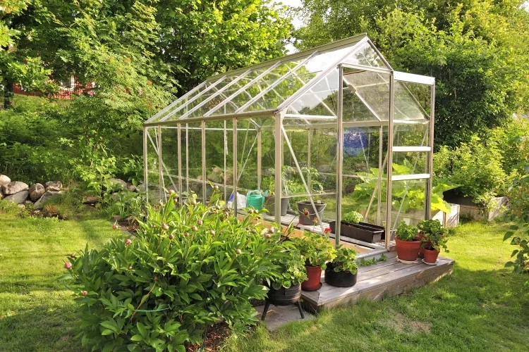 Hoop House VS Greenhouse