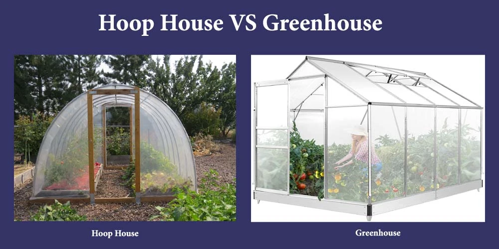Hoop House VS Greenhouse: Differences