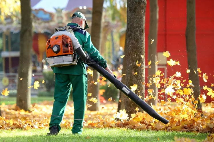 The Type of Leaf Blower