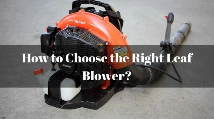 How to Choose A Leaf Blower