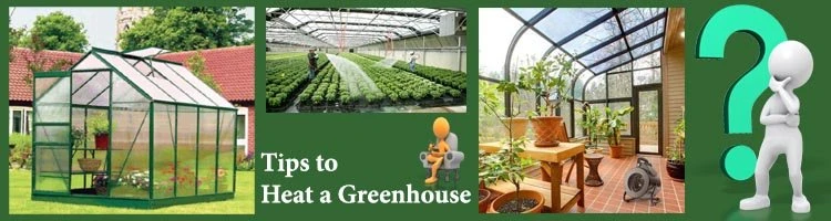 Tips To Heat A Greenhouse