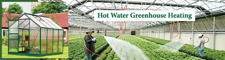 Hot Water Greenhouse Heating
