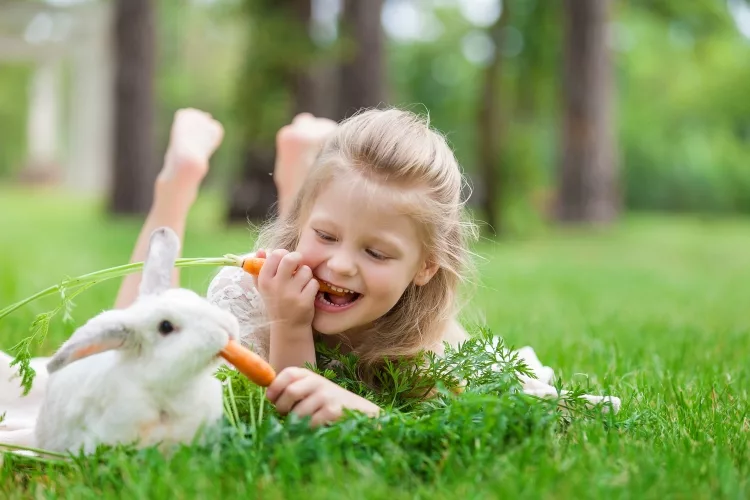 What is a natural rabbit repellent?