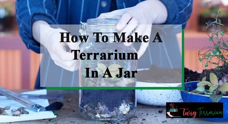 How To Make Terrarium In A Jar
