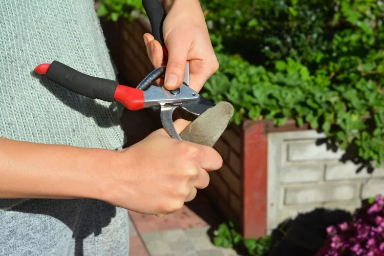 Sharpen Garden Shears