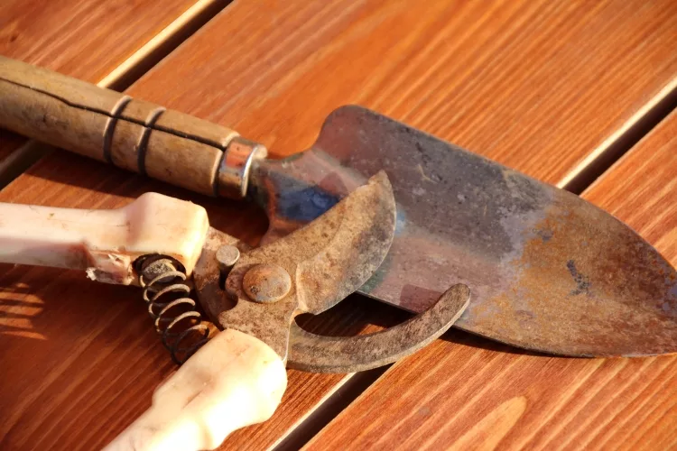 Can you use a file to sharpen garden shears?