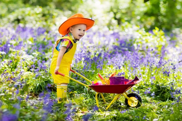 What will you use to sharpen your garden shears?