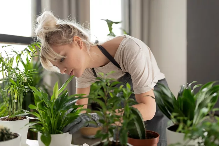 How To Start An Indoor Herb Garden