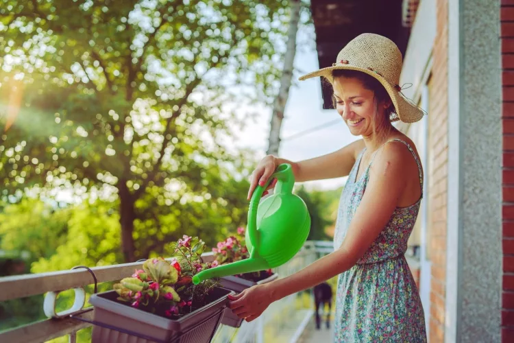 How to Water Plants and Herbs