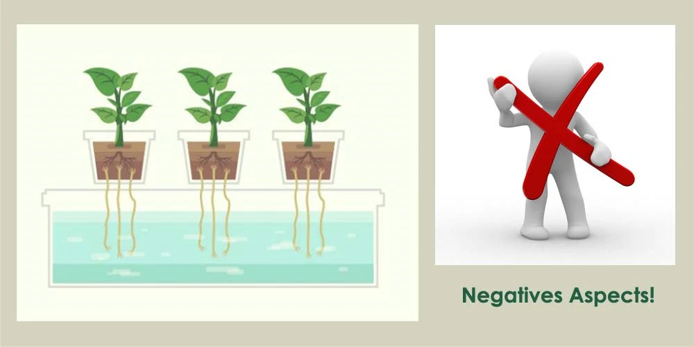 Negatives Aspects Of Grow Box