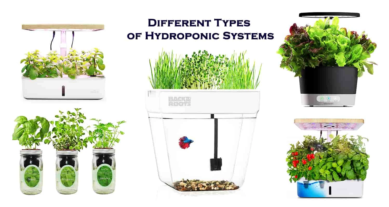 Different Types Of Hydroponic Systems