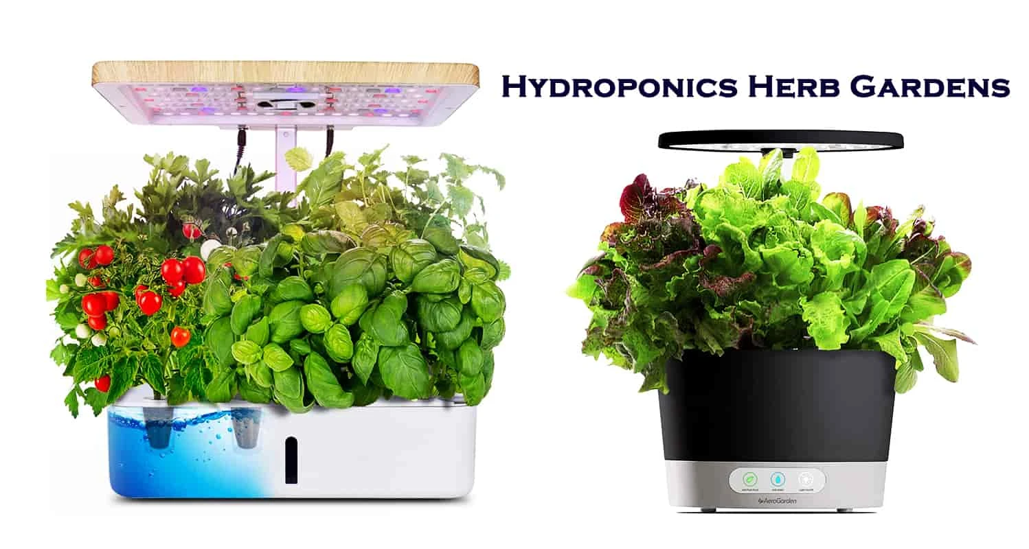 Deep Water Culture(DWC) System