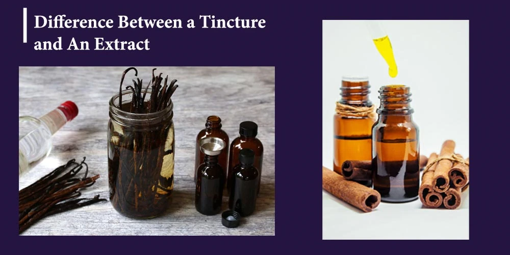 Difference Between A Tincture And An Extract