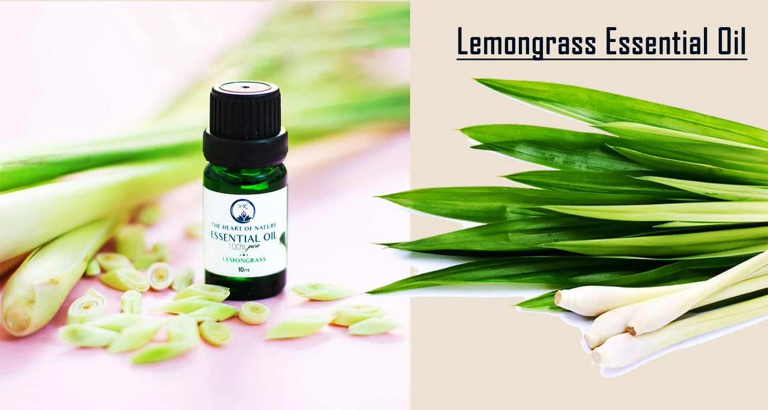 Best Organic Lemongrass Essential Oil Reviews