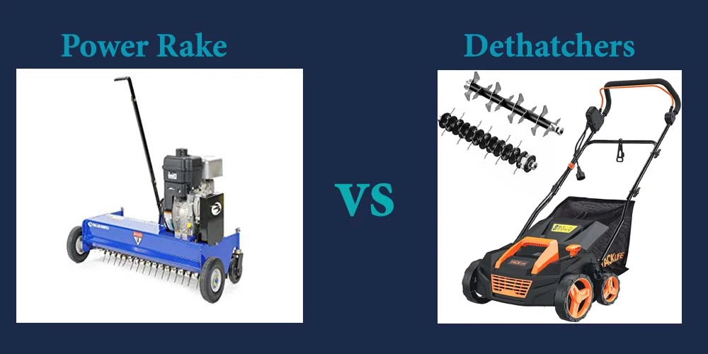 Power Rake VS Dethatchers