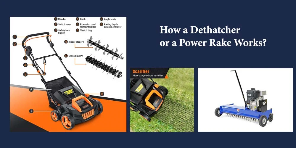 Working Process Of A Dethatcher Or A Power Rake