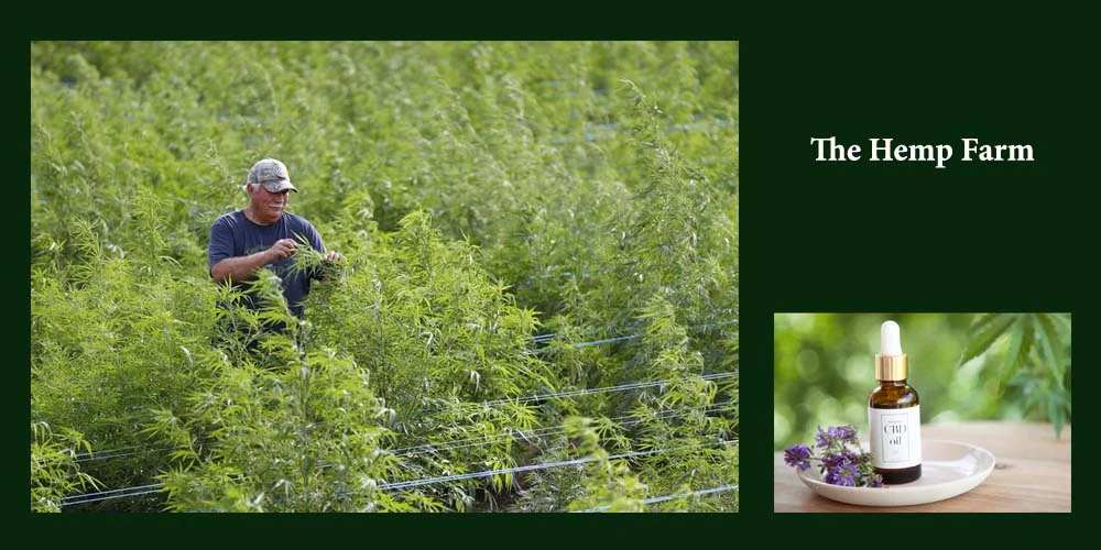 Hemp Farm