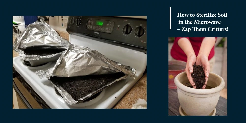 Sterilize Soil In The Microwave