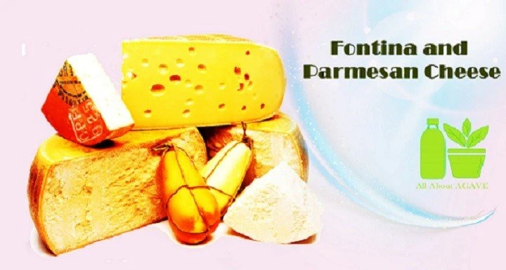 Fontina And Parmesan Cheese