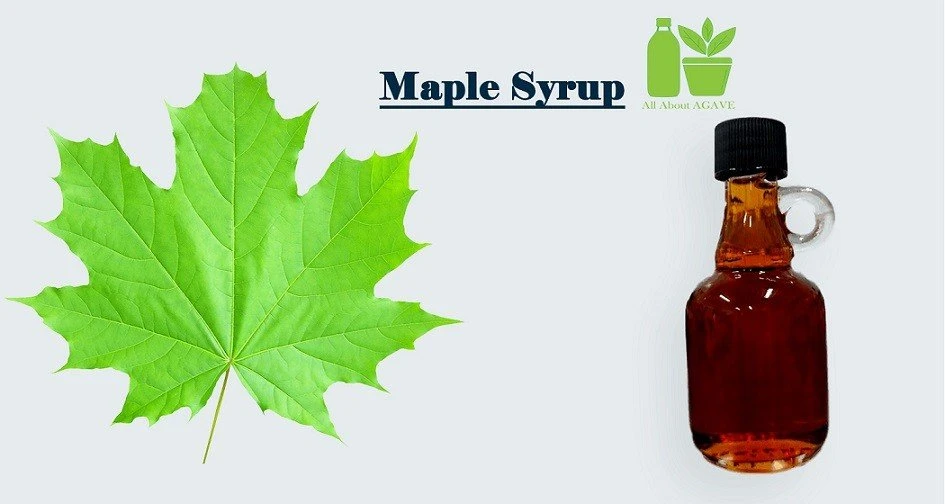 Maple Syrup