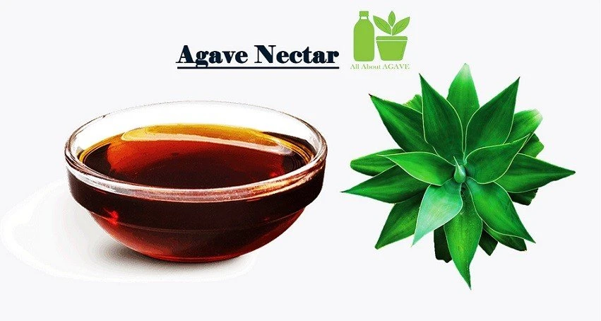 What Is Exactly Agave Nectar