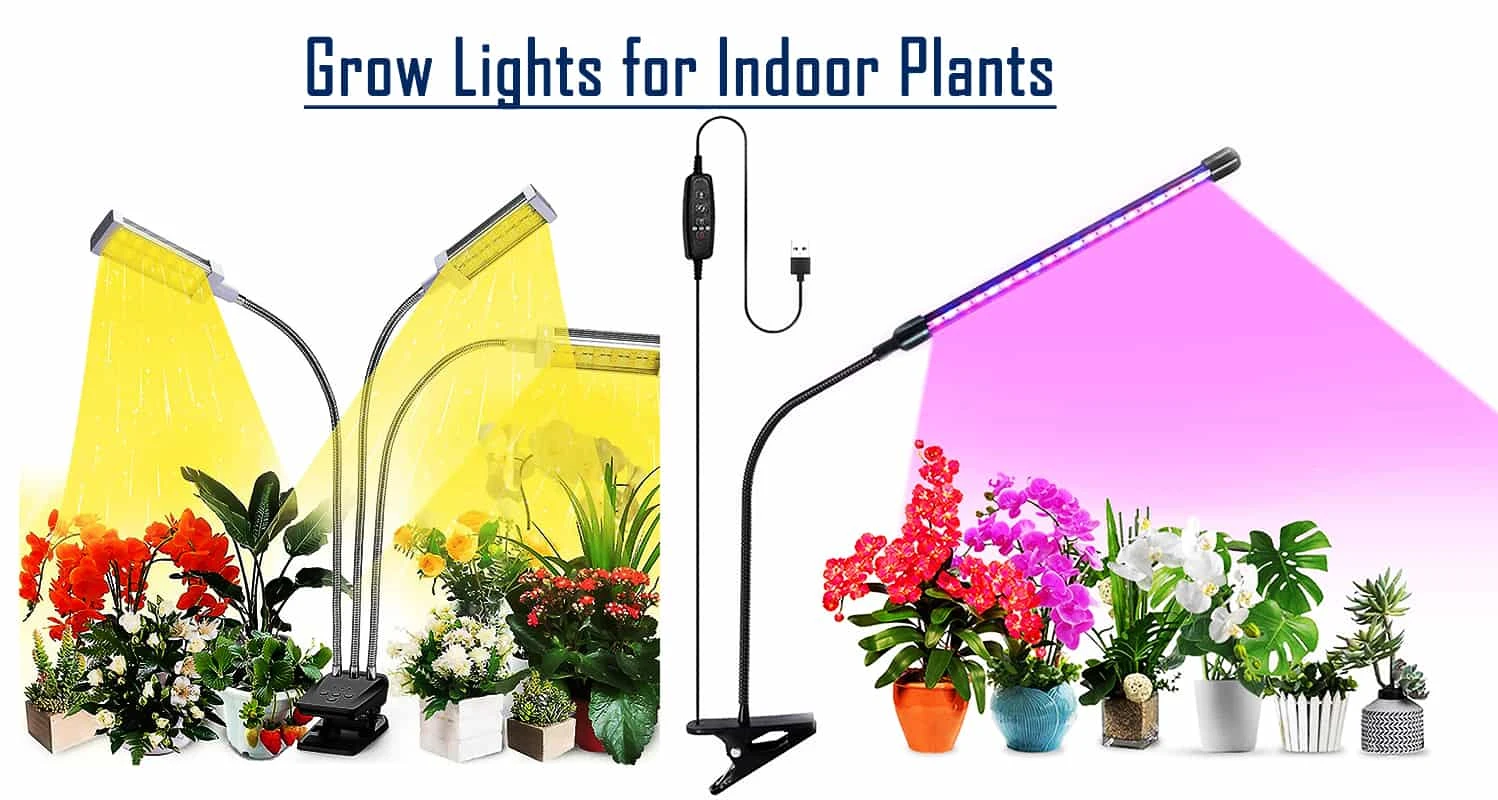 Top 26 Best Grow Light For Herbs, Best Indoor Led Grow Lights For Herbs