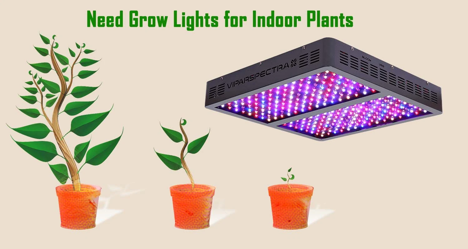 Need Grow Lights For Indoor Plants