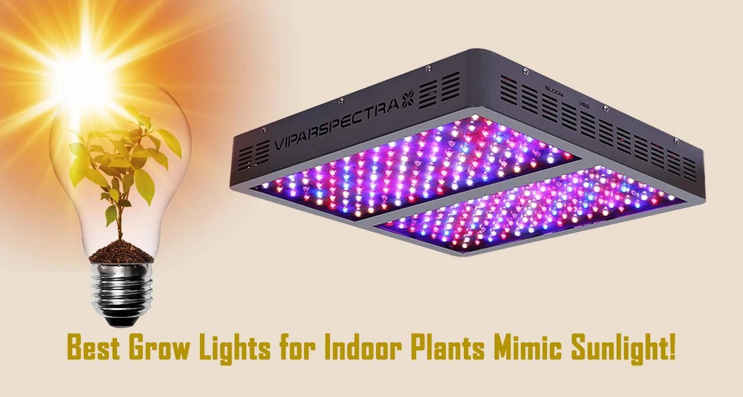 Grow Lights For Indoor Plants Mimic Sunlight