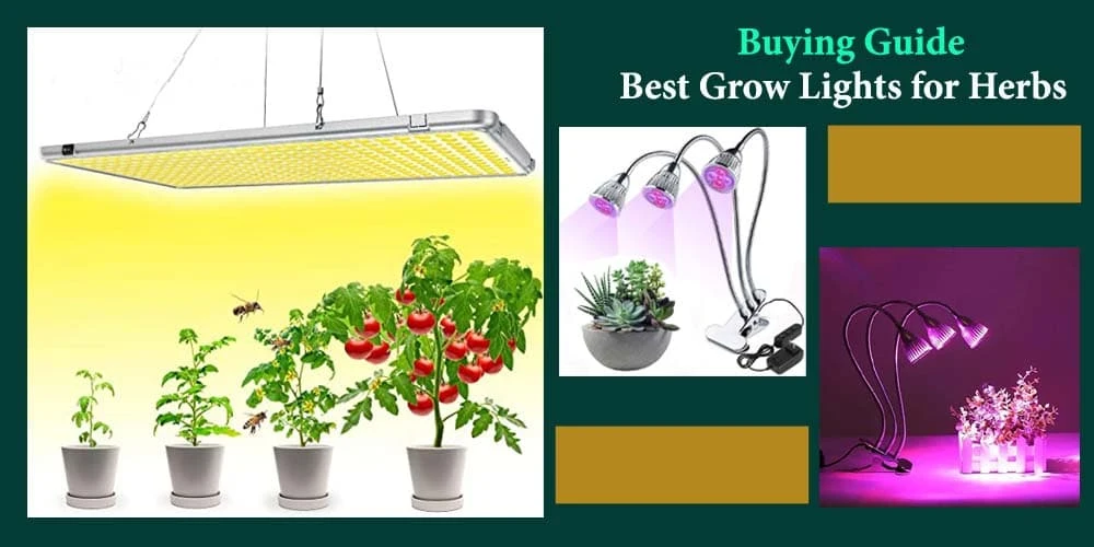 Buying Guide Of Grow Lights For Herbs