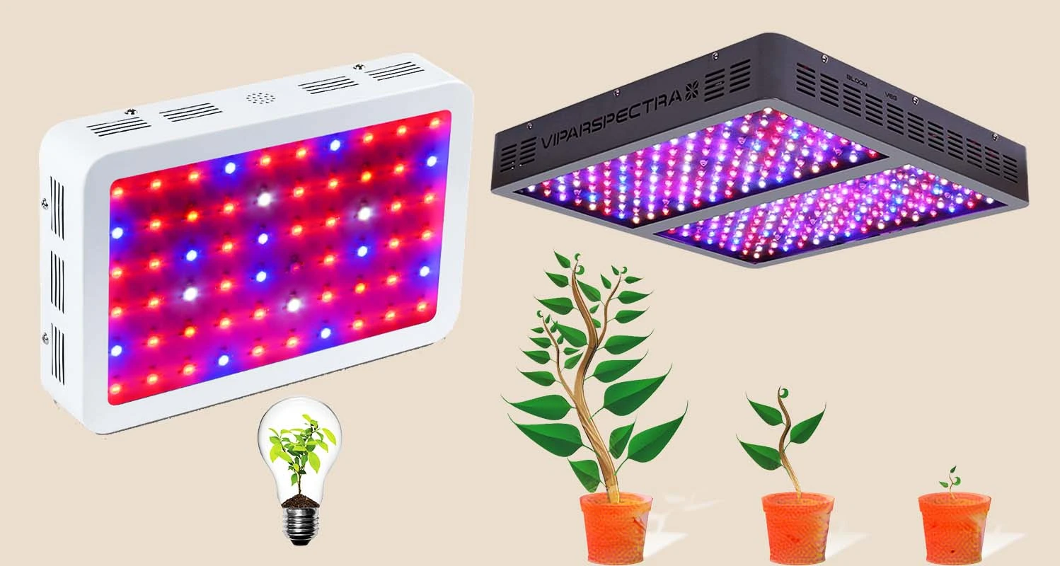 Types Of Grow Light