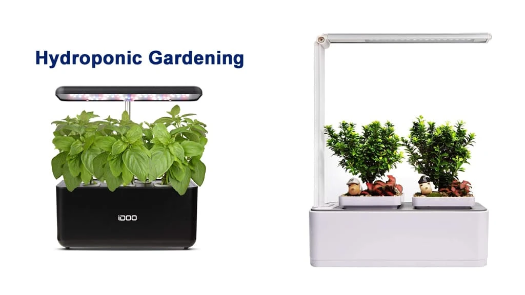 What Is Hydroponic Gardening