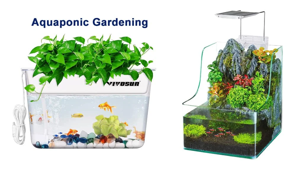 What Is Aquaponic Gardening