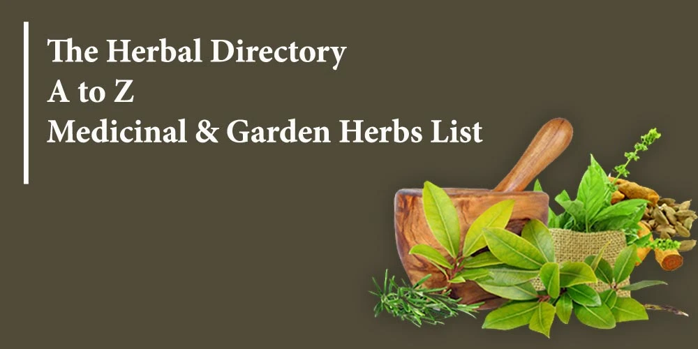 The Herbs List AZ – Medicinal & Garden Herbs List