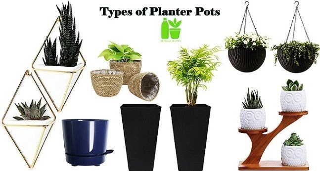 What is Planter Pot