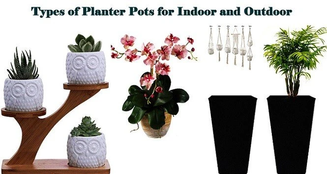 Types Of Planter Pots For Indoor And Outdoor