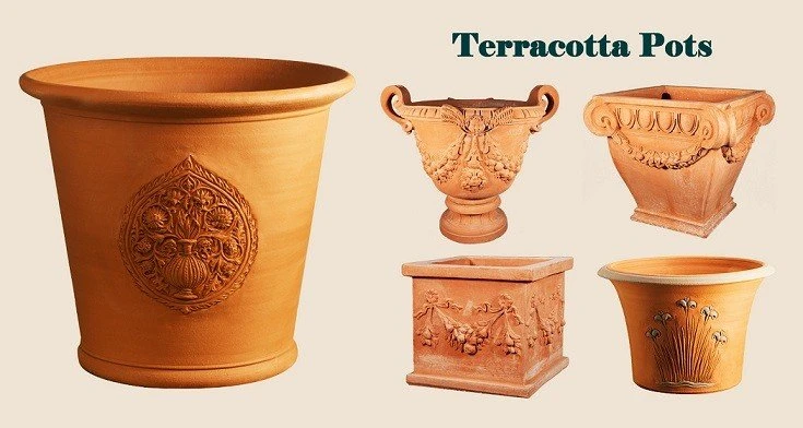 Terracotta Planter Pots