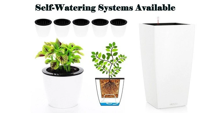 Self Watering Systems Available