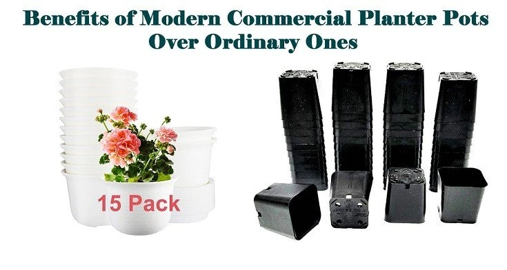 Benefits Of Modern Commercial Planter Pots Over Ordinary Ones