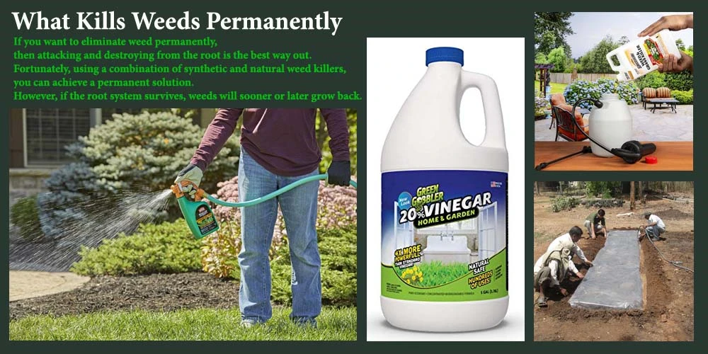 What Kills Weeds Permanently