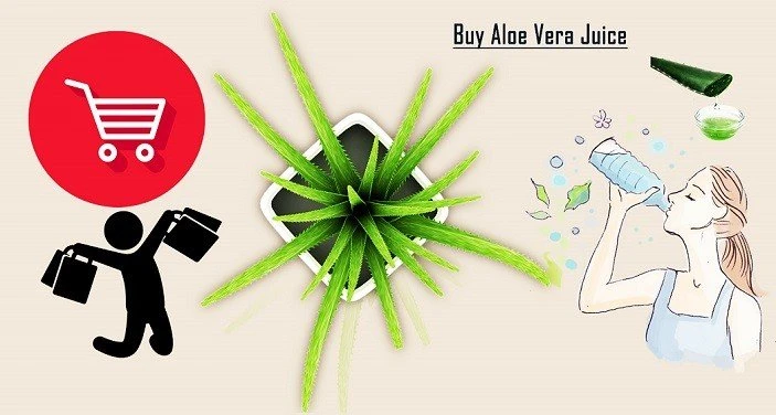 Where to Buy Aloe Vera Juice to Drink