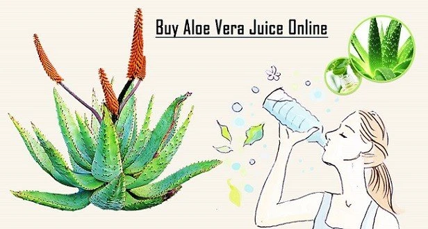 Where To Buy Aloe Vera Juice To Drink Online