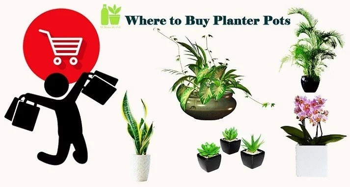 Why Should I Report My Plant? Is It Important?